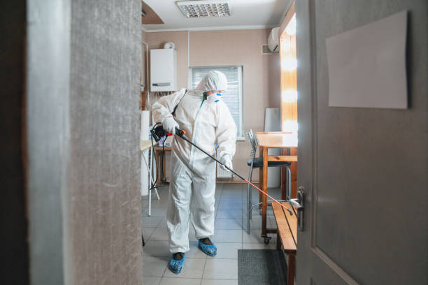 Best Mold Odor Removal Services  in Hunter, TN